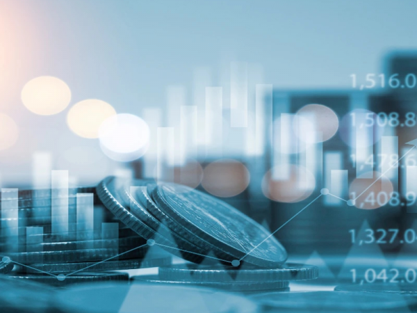 Corporate Governance Services